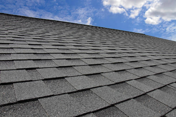 Best Roof Coating and Sealing  in Reading, MI