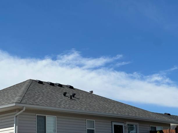 Best Asphalt Shingles Roofing  in Reading, MI
